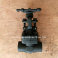 API602 1500lb Forged Steel A105 Thread NPT Gate Valve